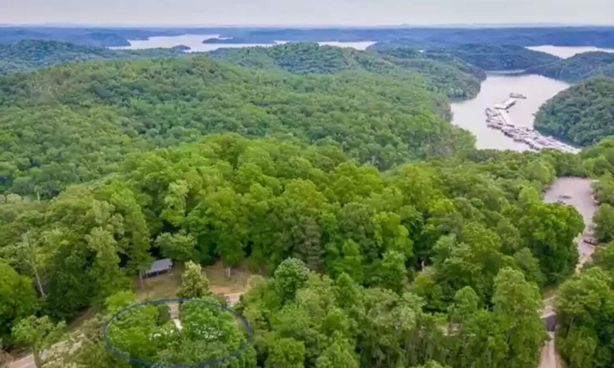Celina House | 1/4 mile from Holly Creek Marina-2700 sq ft split level cottage Walkout basement