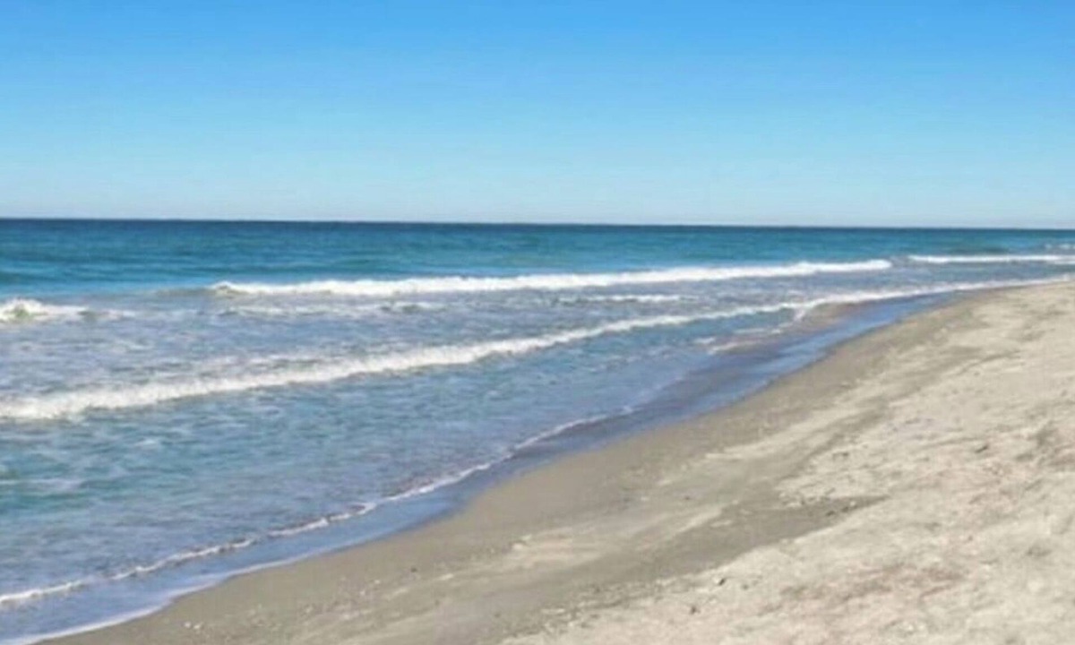 Golden Beach Condo | Beach Paradise on Venice Island