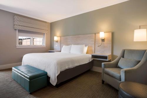 Downtown Hotel | Best Western Sea Island Inn