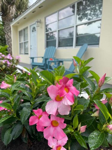 Rock Ridge House | Conch Shell Cabana