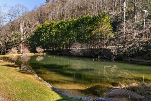 Brevard House | Cove House - Peaceful Nature Retreat on 66 Acres, Pond and Trails!