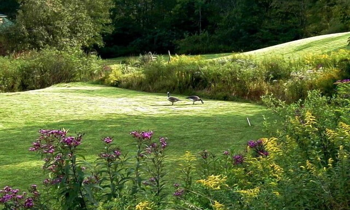 Glenville Cabin | Deal Now, Cabin-Hot Tub under Cabana, Privacy, Enjoy in Rain or Shine wMt'n View