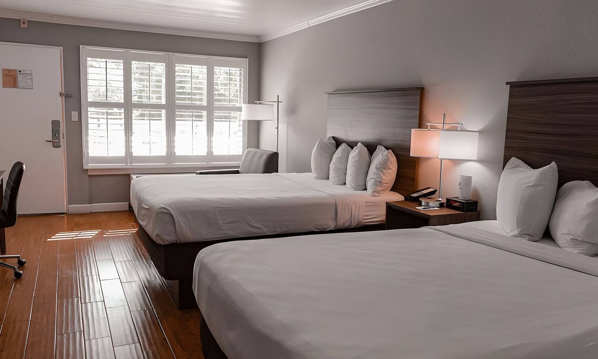 Vero Beach Hotel | Free Hot Breakfast Buffet | Vero Beach Inn and Suites | Queen Standard Room