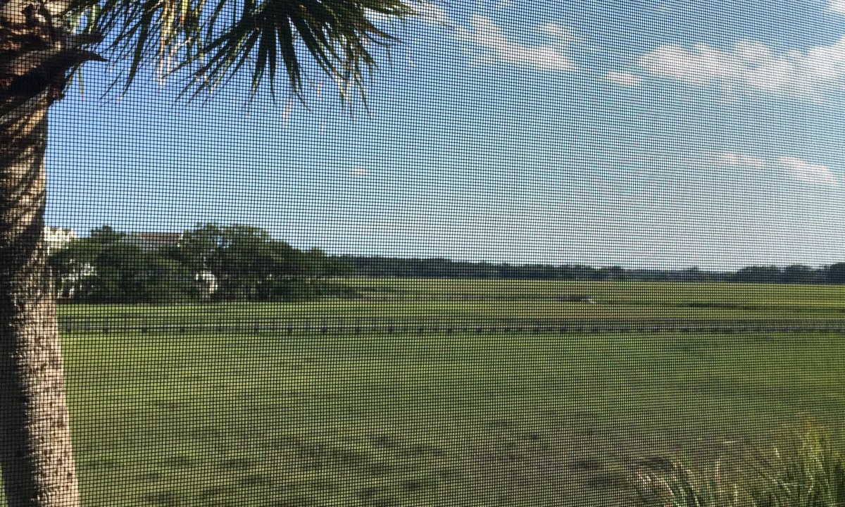 Seabrook Island Condo | Gated Secluded Marsh View