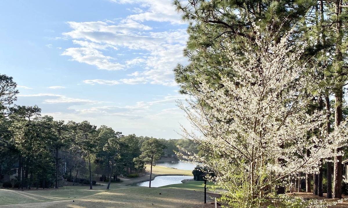Pinehurst House | Golf Front Retreat on Pinehurst No. 6 with 3BR/2BA Sleeps 8
