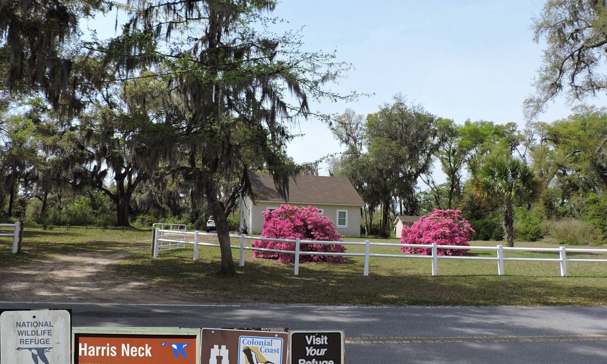 Valona Cabin | Harris Neck National Wildlife Refuge Cabin - Suite B
