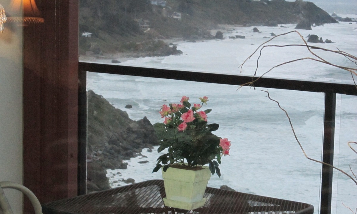 Brookings Condo | JAW-DROPPING VIEW,trails,family-friendly,fireplace,private beach,gated & clean