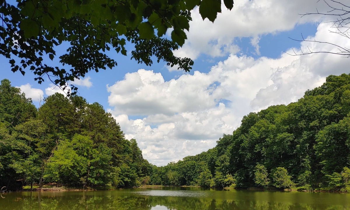 Central Cabin | Lake Lodge -2 miles to downtown and Clemson University