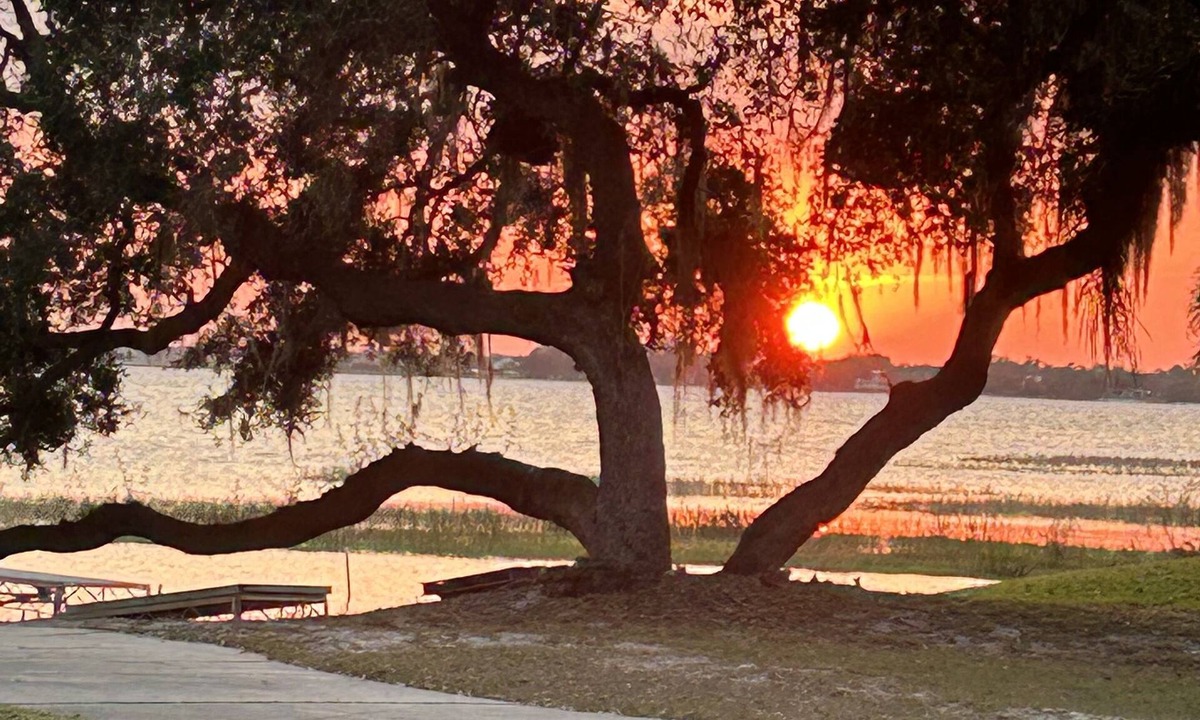 Babson Park Cottage | Lakeview Cottage Escape. Close to BOK Tower Gardens, Legoland and Disney