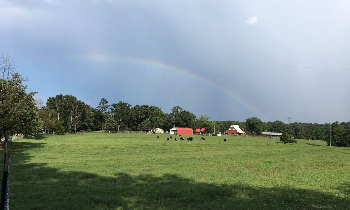 Baldwin House | Life on the farm with Pool! 1+ hour to ATL, Close to great hiking in No GA Mtns