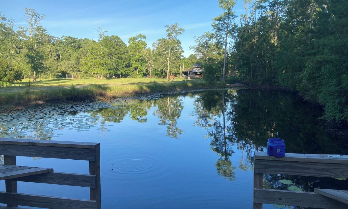Bethera House | Love Shack on 12 acre horse farm