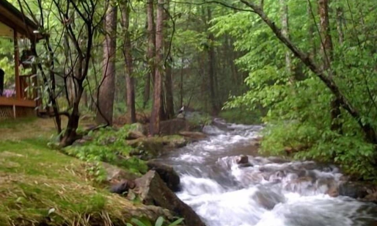 Hayesville Cabin | LOW WINTER RATES Rushing Waters Cabin - Feet from rushing creek.