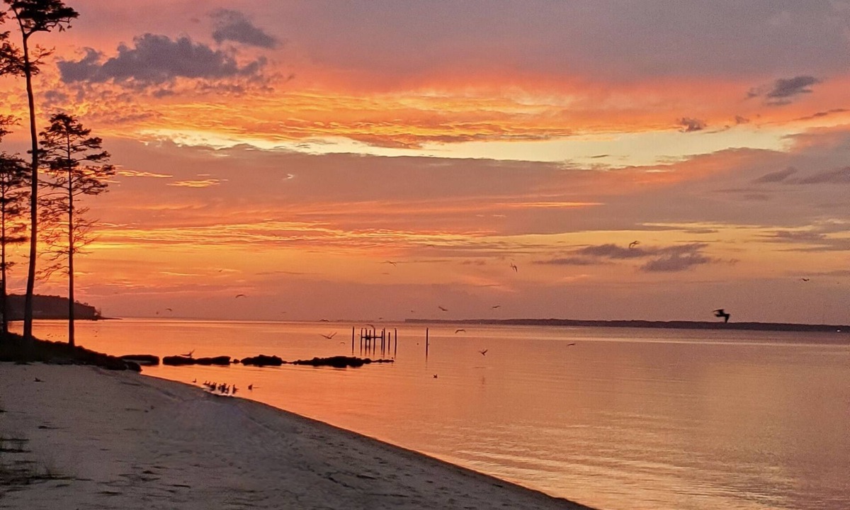 Craven County House | Newly Renovated, private beach, Oasis.
