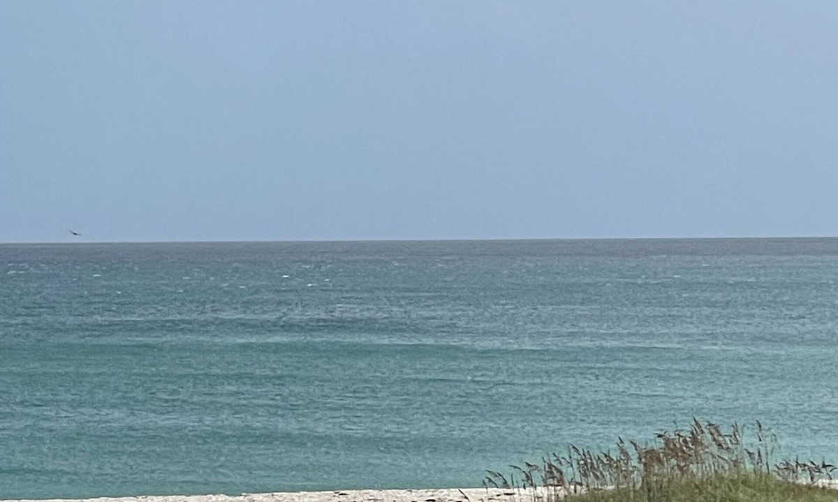 Vero Beach Condo | Oceanfront Fully Renovated Luxury Condo