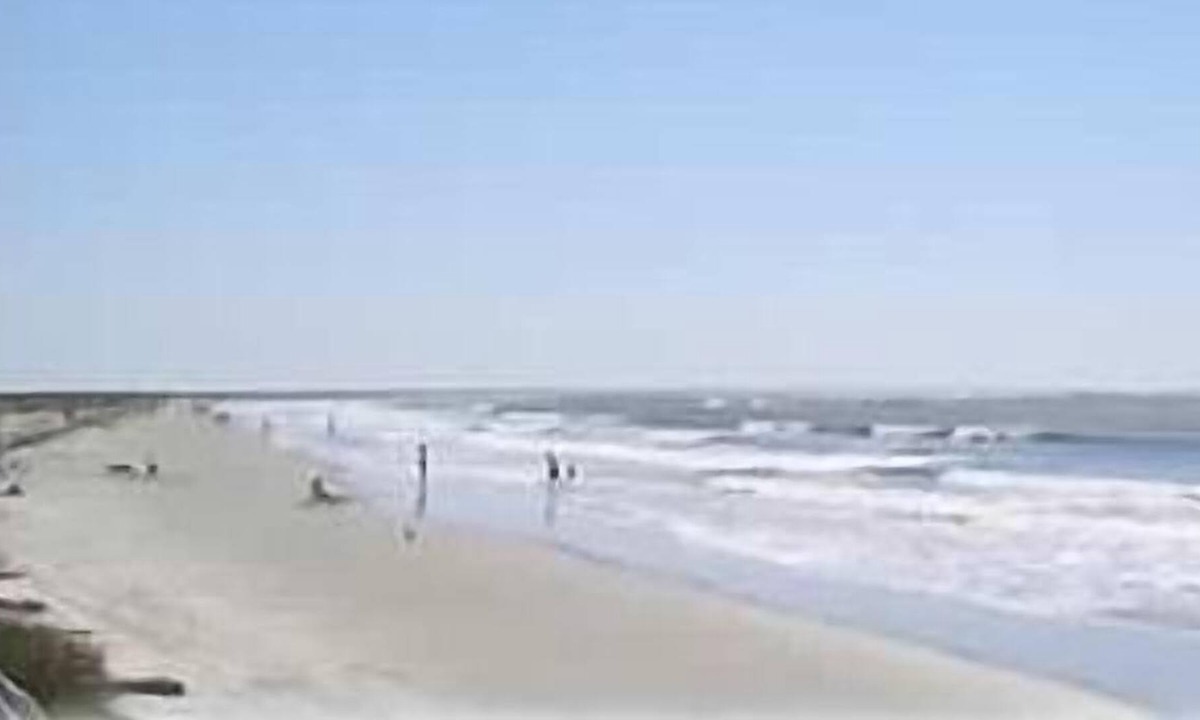Saint Helena Island Condo | Oceanview *Total Renovation*Great Beach Location*