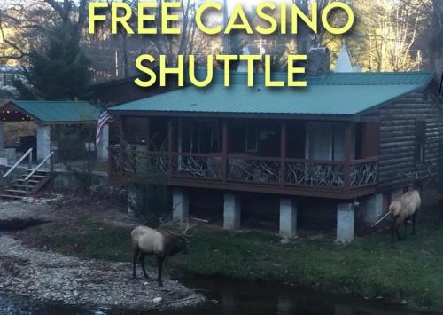 Cherokee Hotel | Qualla Cabins and Motel Cherokee near Casino