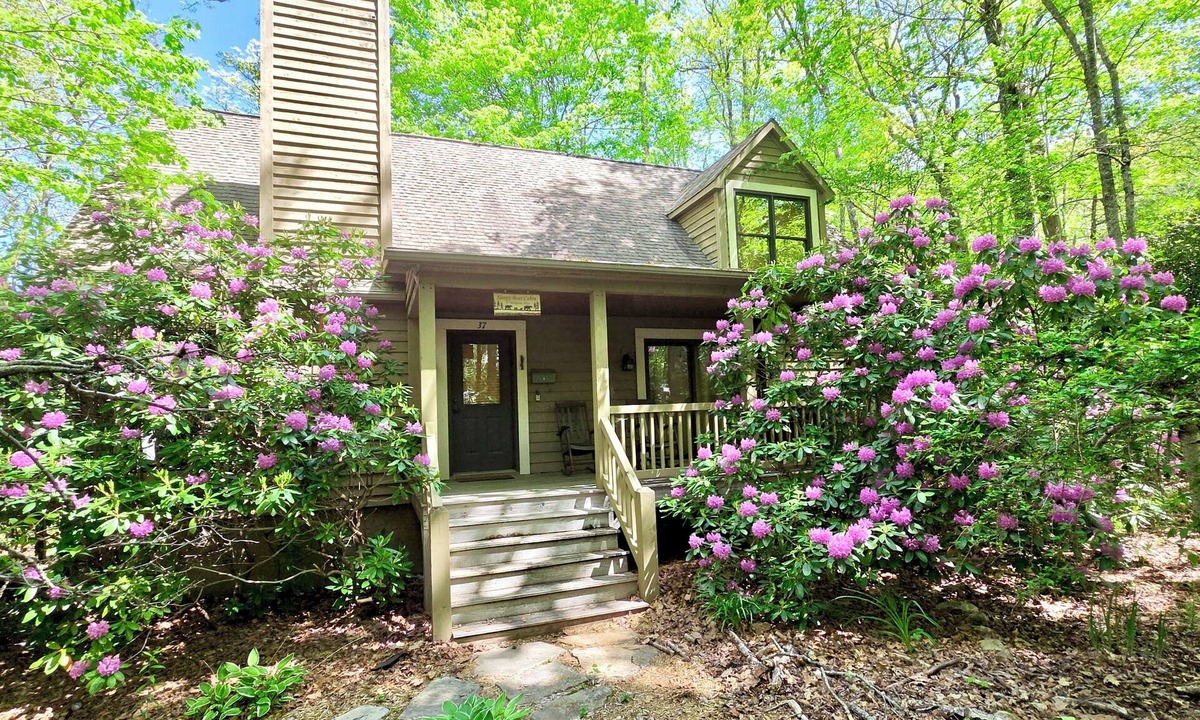 Wildwood Mountain House | Sleepy Bear Cabin: Tranquil Mountain Cabin w/Screened Porch in Wildwood Forest