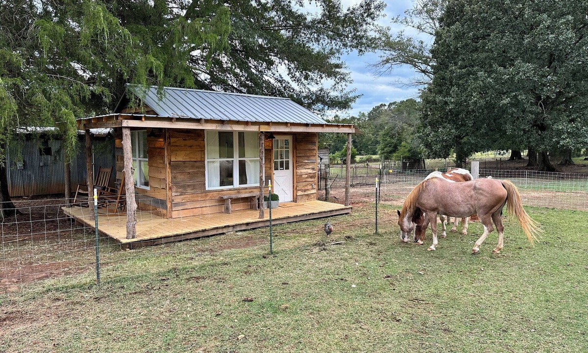 Abbeville County Cabin | The Cottage at Flourish Farm - Experience serenity at this cozy farm getaway