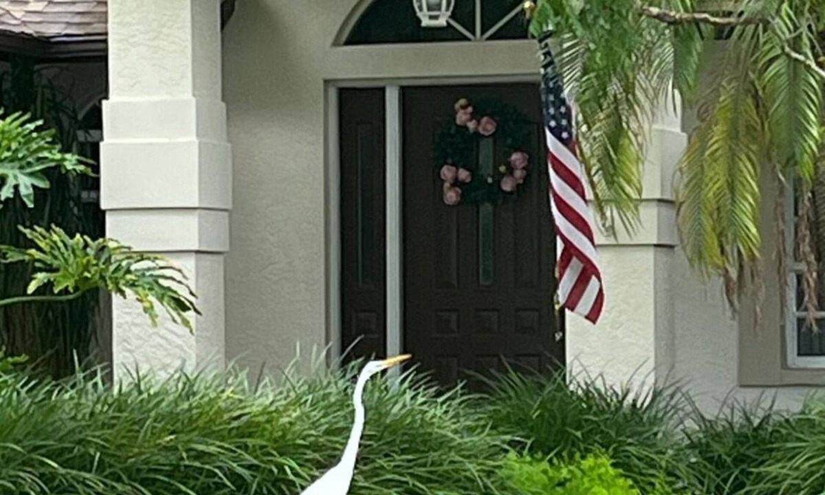 Palm River Estates House | Your Home Away from Home 3+2+Den Great deal, excellent reviews