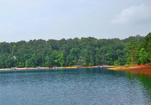 Carolina Landing Camping Resort Cabin 9