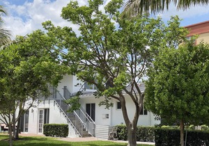 MODERN & LUXURY VACATION RENTAL 4 mins walk to the beach - AP4