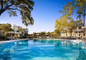 Montage 3BR, Pet friendly, central location, Wilson Village Home 10