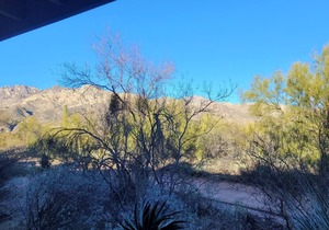 Pet Friendly-1st Floor 2 with Direct Access from parking - Mountain Views! in Tucson