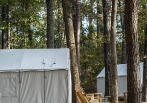 Tentrr State Park Site - Mississippi Roosevelt State Park - Tall Trees B - Sing in Morton
