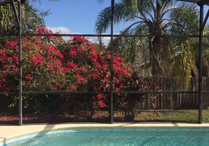 Vacation Home In Kissimmee, Florida