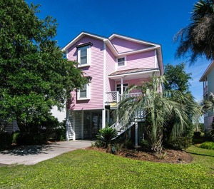 The Flamingo 