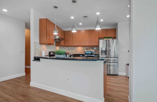 South Eola Apartment | 2/2 PentHouse Downtown Orlando