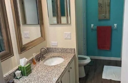 Lutz Resort | 2 Couple island condo in a Florida nudist resort.