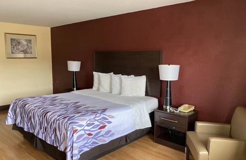 Cleveland Hotel | 2 Peaceful King Rooms for Adventure-Loving Guests