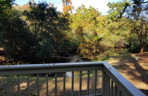 Night Heron House | 23 Night Heron