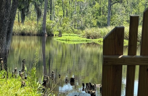 Havelock House | 3-bedroom creekside cabin in charming Havelock with kayak and paddleboards.