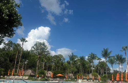 Ole House | 3-bedroom townhome in fantastic Naples three bedroom in Ole in Lely resort.