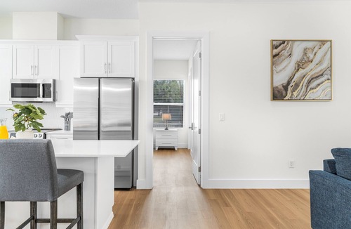 University Apartment | 3BR/3BA | Private Balcony | Sleeps 8 | Near Busch Gardens