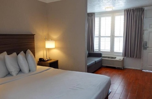 June Park House | 4 Relaxing Units Near the Picturesque Scenery in Wickham Park! FREE Parking