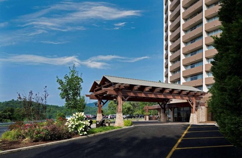 Gatlinburg Hotel | A Place You'll Surely Enjoy! Indoor Swimming Pool, Pets Allowed!