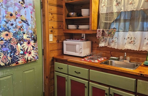 Bryson City Cabin | Adorable 1-bedroom cabin with AC in welcoming Bryson City