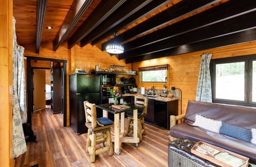 Brevard Cabin | Adults-only Mountain Retreat! Anniversary, Honeymoon, Romantic Getaways.