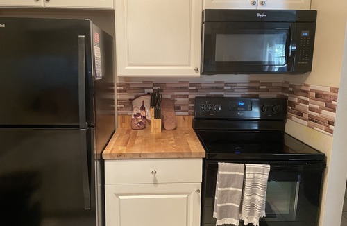 Bearss Plaza Condo | Amazing Pet-Friendly Condo with Pool Near Busch Gardens