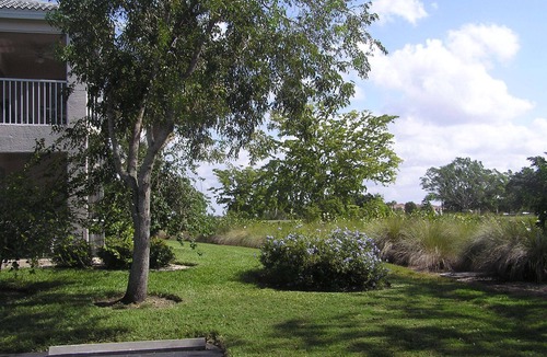 Hammock Bay Condo | Beautiful 3 Bed Condo close to Marco
