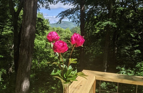 Glenville Cabin | Blue Mountain Cabin minutes away from Lake Glenville public beach
