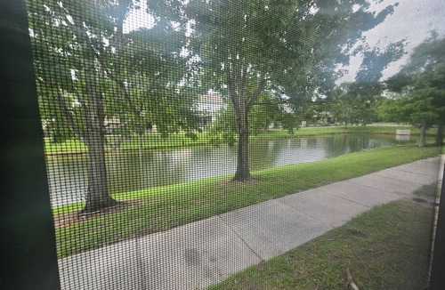 Kissimmee House | Bright & Airy 3-bdrm near attractions w/gorgeous community pool in Kissimmee
