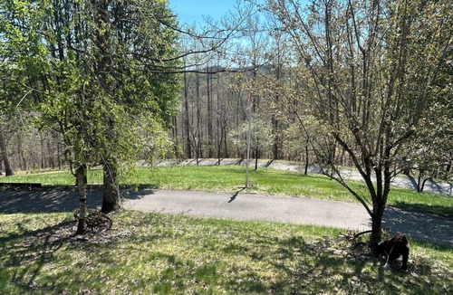 Lynn Garden Apartment | Bristol motor speedway Race fans 1 bedroom/1 bathroom apartment -sleep up to 6