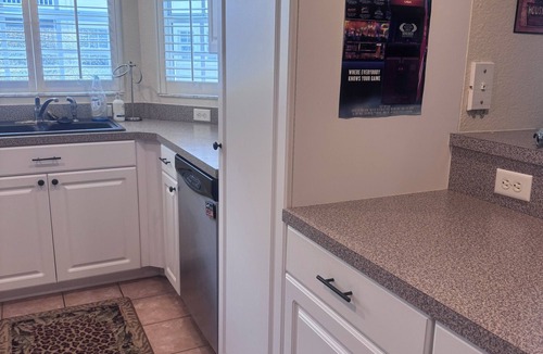 Lutz Condo | Brithday Suit Suite with WiFi in Paradise Lakes Clothing Optional Complex
