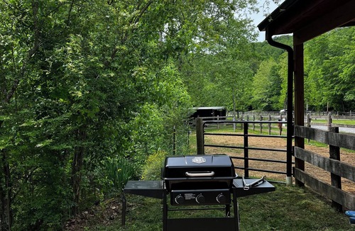 Walland House | Charming barn dominium studio with Highland cows/Valais lambs by the Smoky Mts.