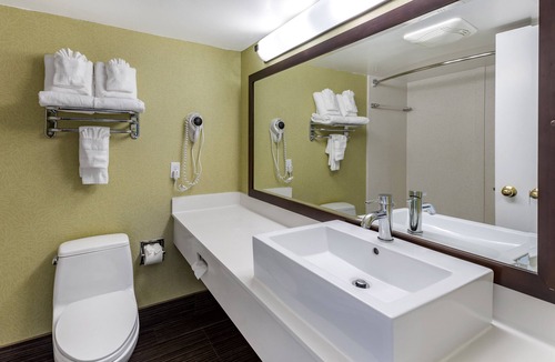 Northeast Virginia Beach Hotel | Coastal Hotel and Suites Virginia Beach Oceanfront