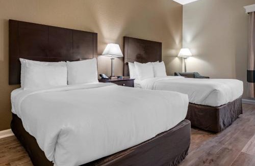 DeLand Hotel | Comfort Inn & Suites DeLand - near University